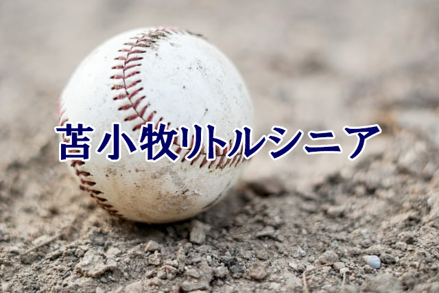 ベンチ入りメンバー の記事一覧 発行人の中学野球ブログ